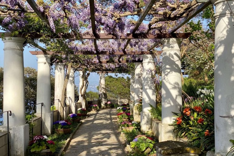 Pergola Villa San Michele