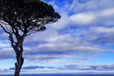Isola di Capri