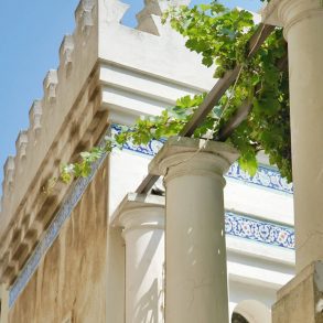 Villa Narcissus