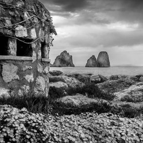 giancarmine arena