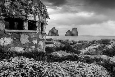 giancarmine arena