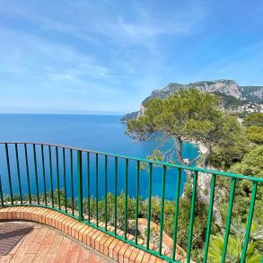 Capri inverno