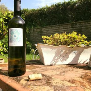 vino capri