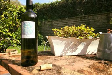 vino capri
